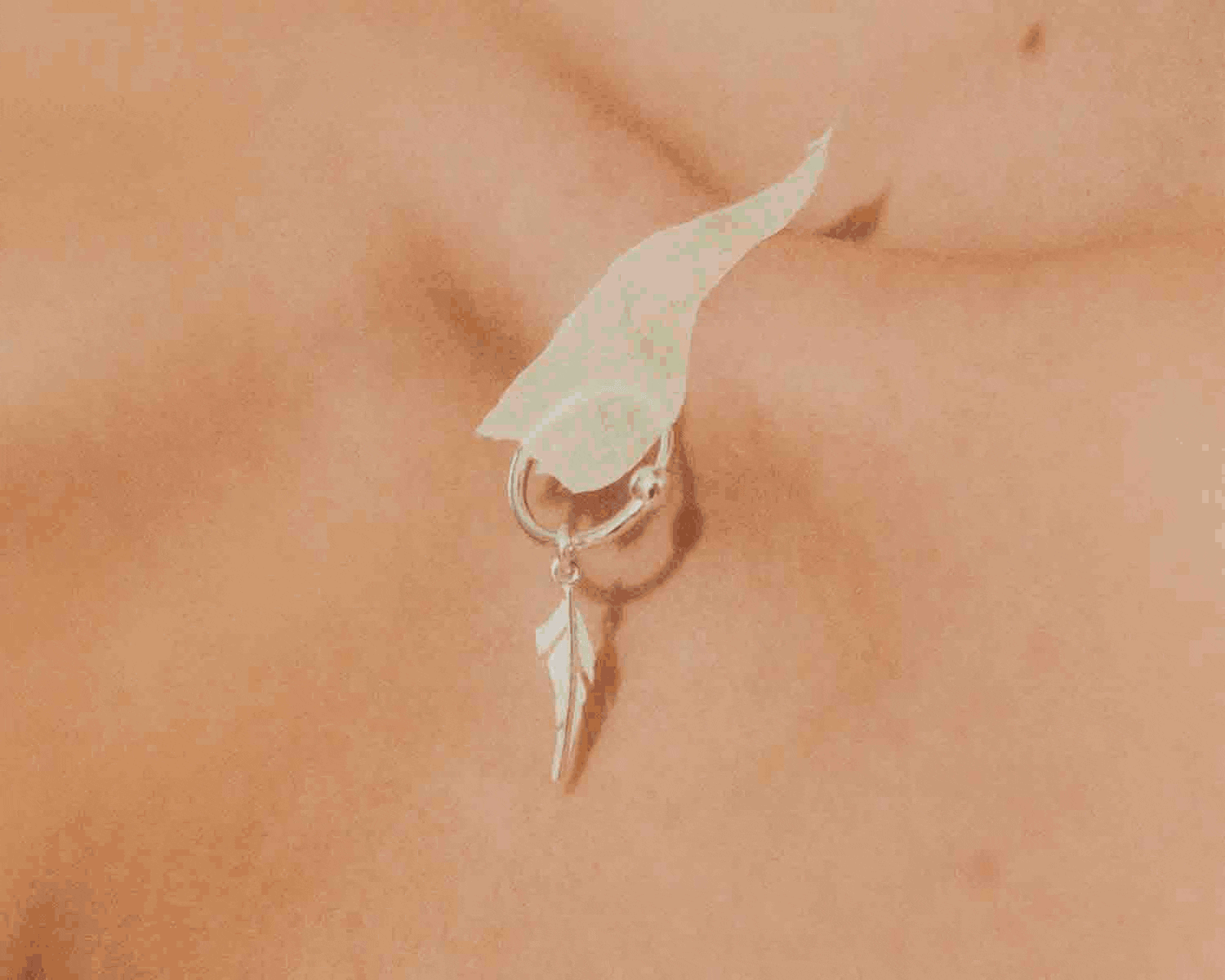 Fragments collection